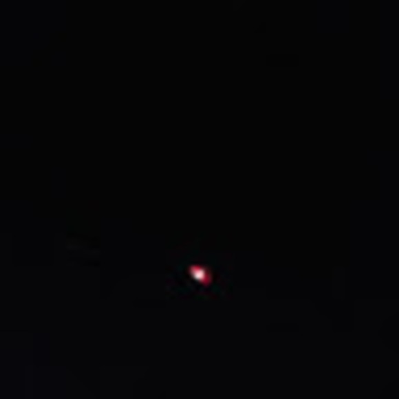 Meet your Posher, Shane - Picture 1 of 1